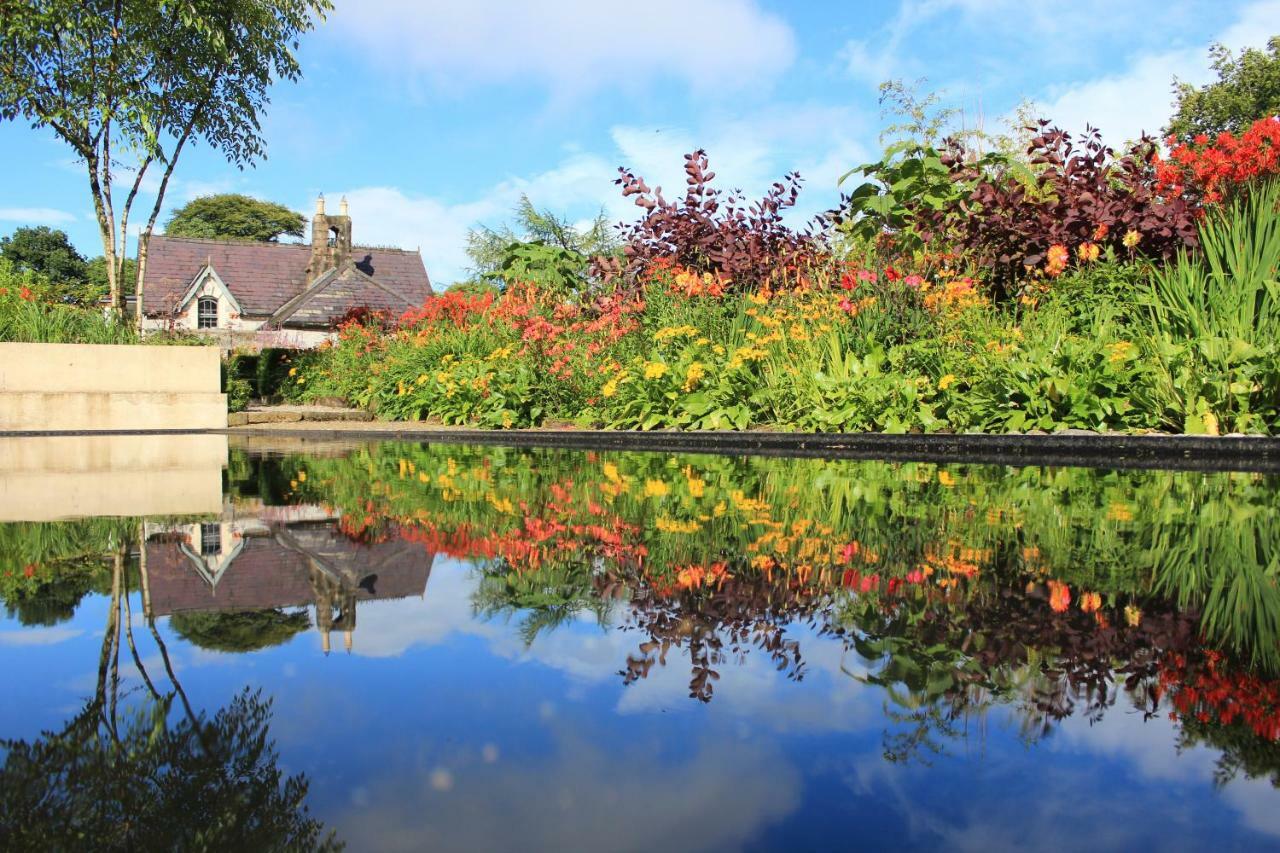 June Blake'S Garden Blessington Dış mekan fotoğraf