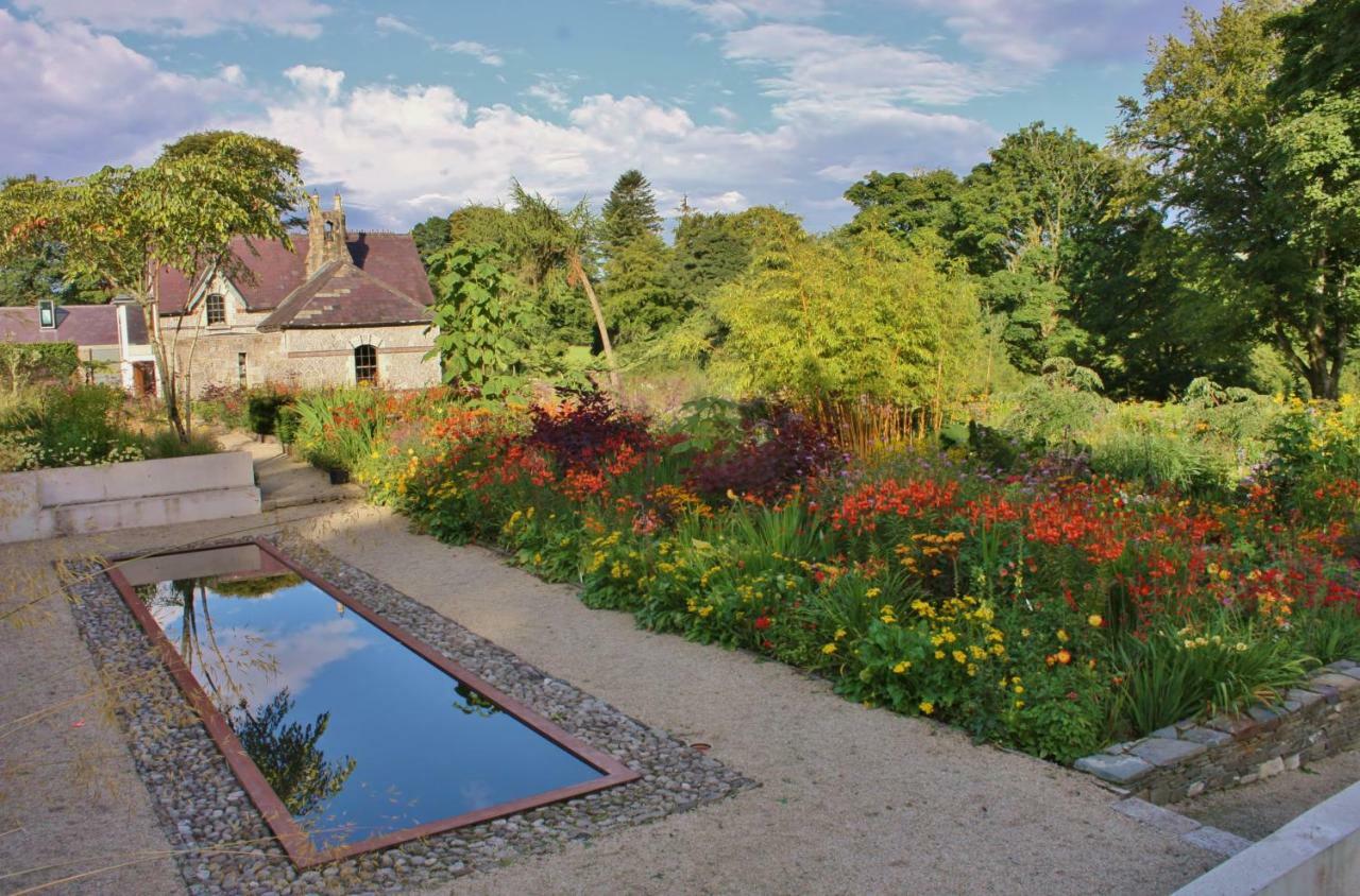 June Blake'S Garden Blessington Dış mekan fotoğraf
