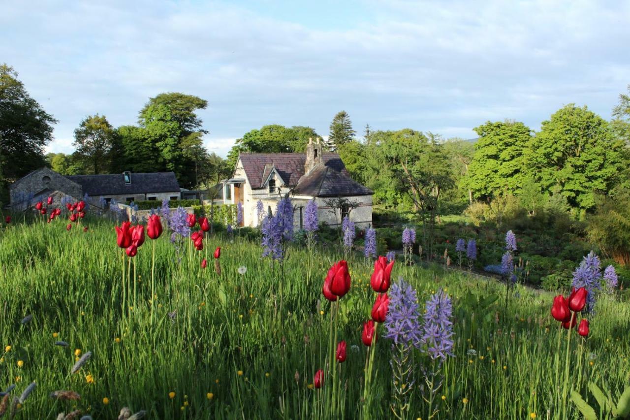 June Blake'S Garden Blessington Dış mekan fotoğraf